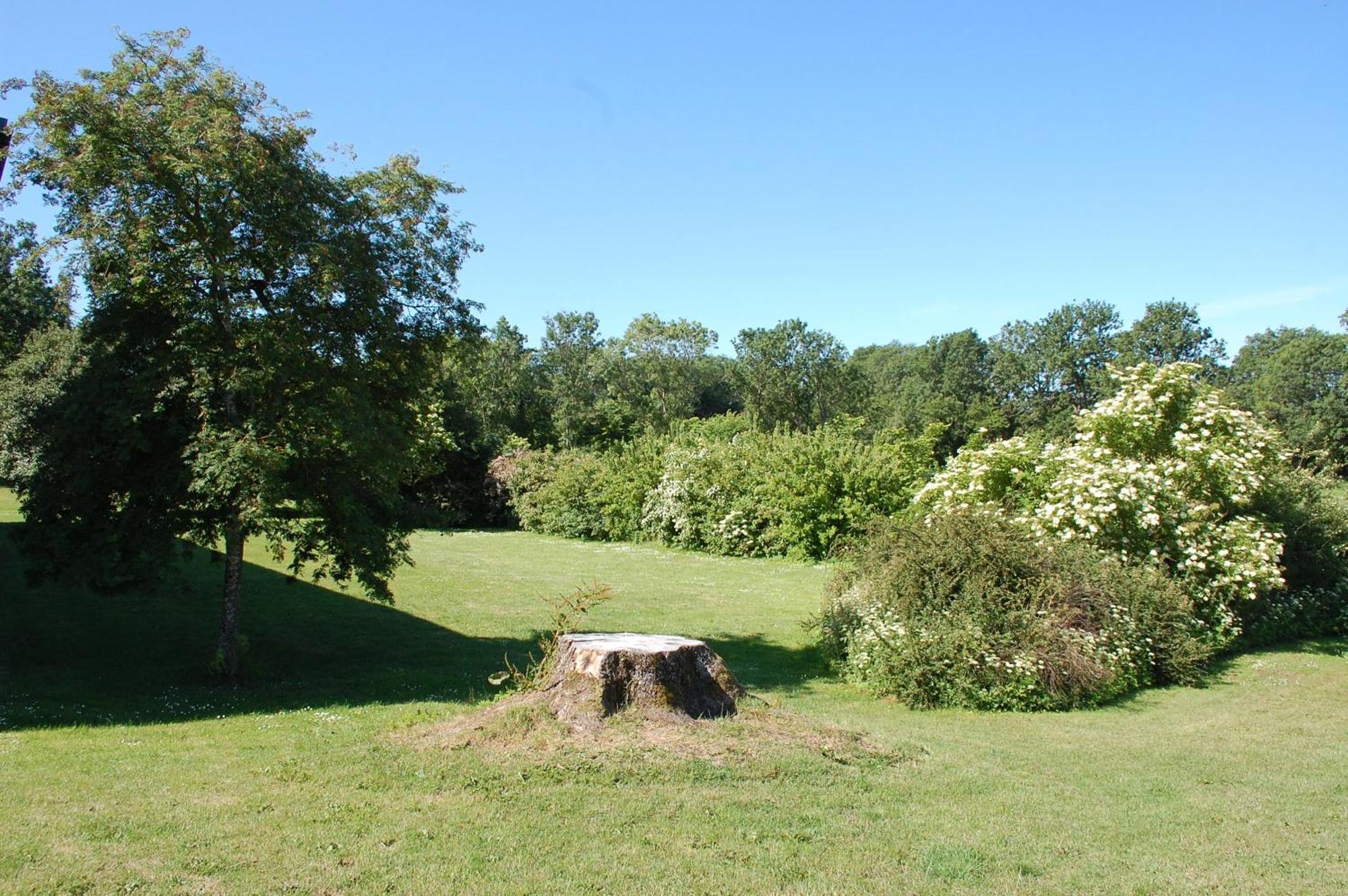 Allégården Kastlösa Vandrarhem Esterno foto
